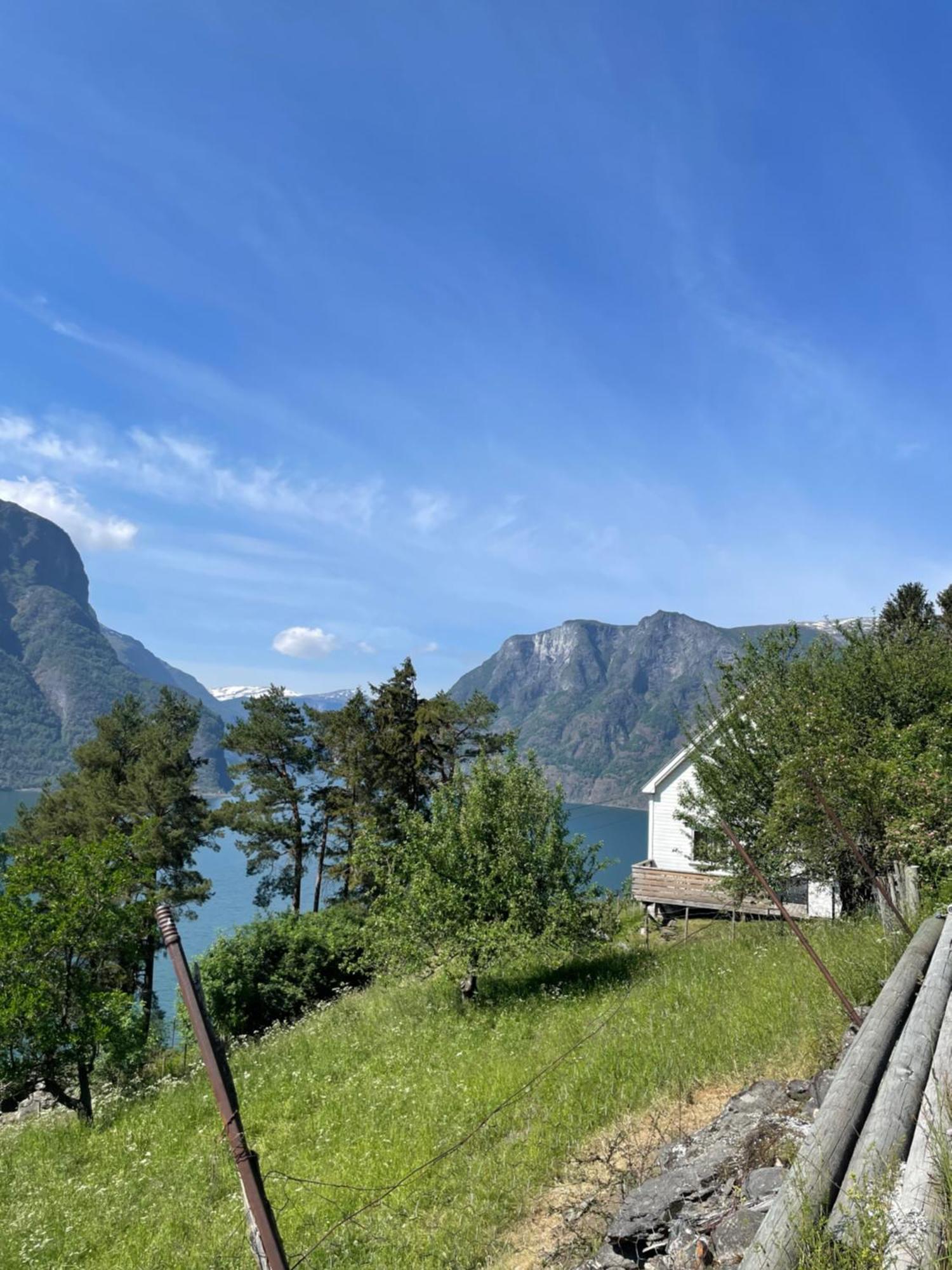 Kvam - Stegastein Lejlighed Aurland Eksteriør billede