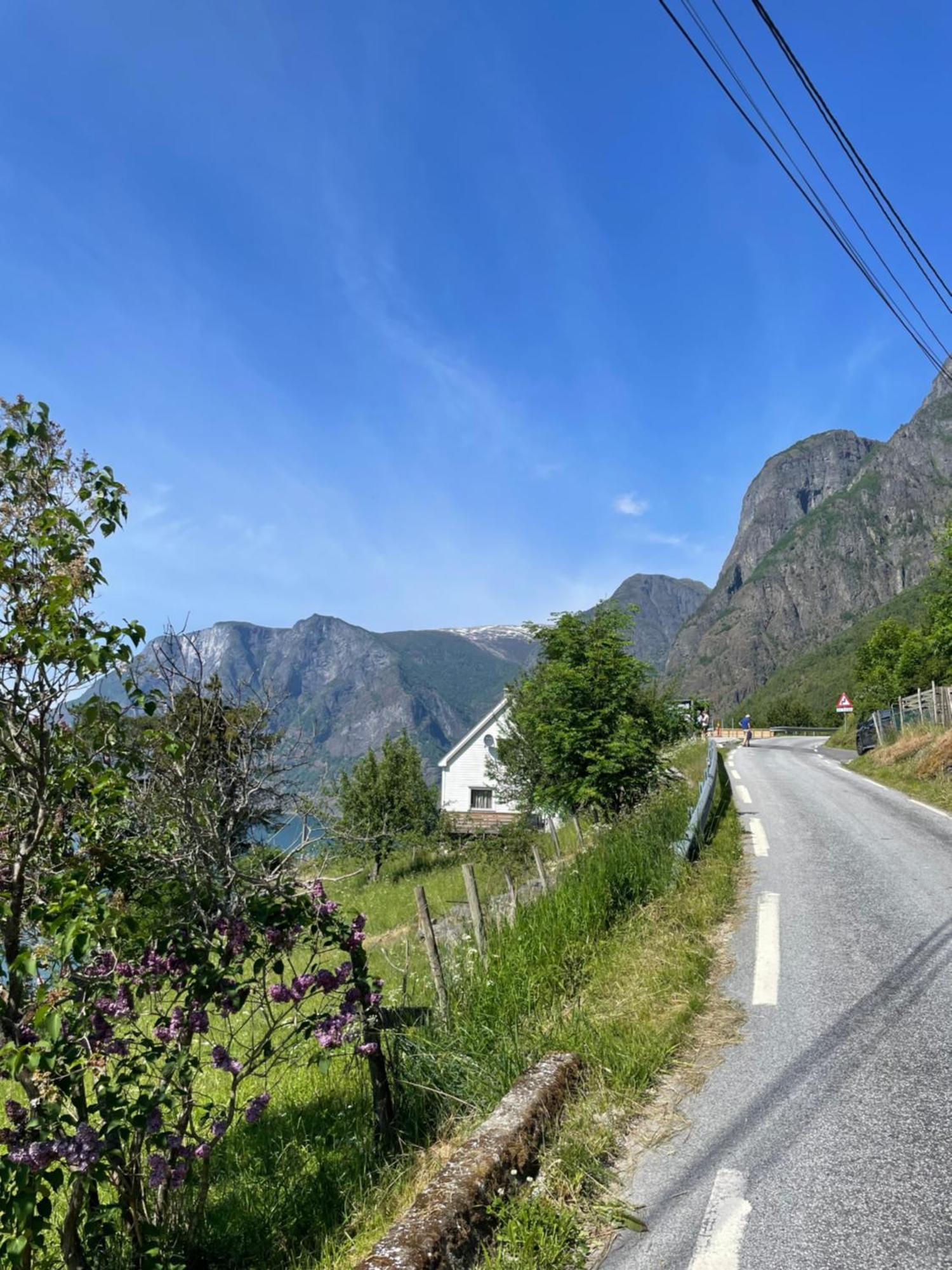 Kvam - Stegastein Lejlighed Aurland Eksteriør billede